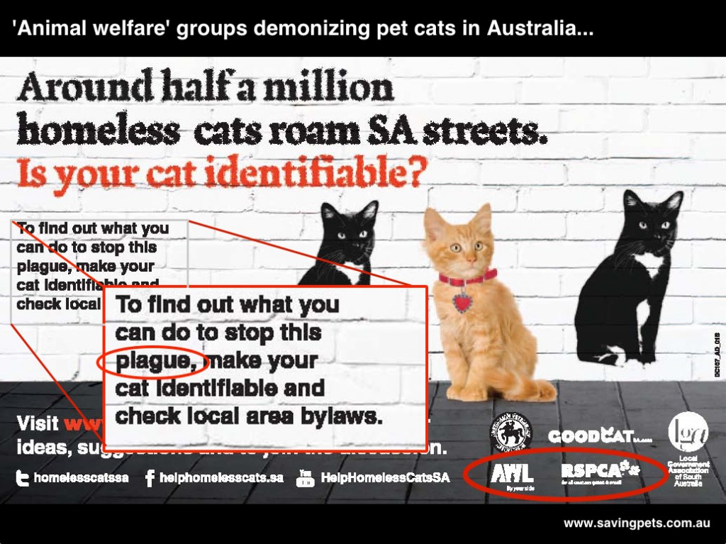 Animal_welfare_groups_demonizing_pet_cats_in_Aus