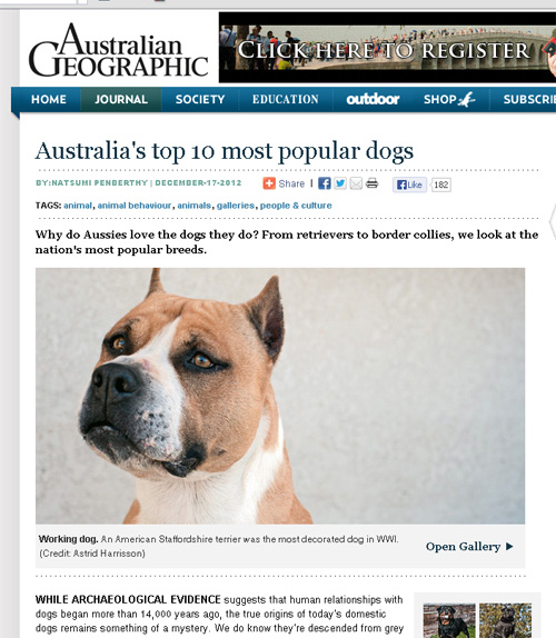 Australian_Geographic_Popular_Dogs