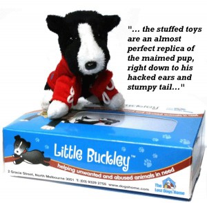 Buckley_Toy - 2009
