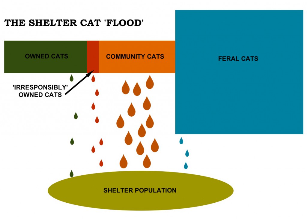 Cat_Diagram_2014