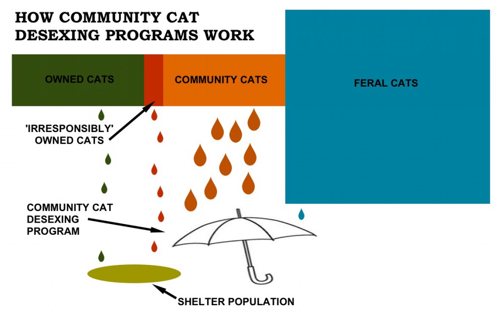 Cat_Diagram_2014_TNR