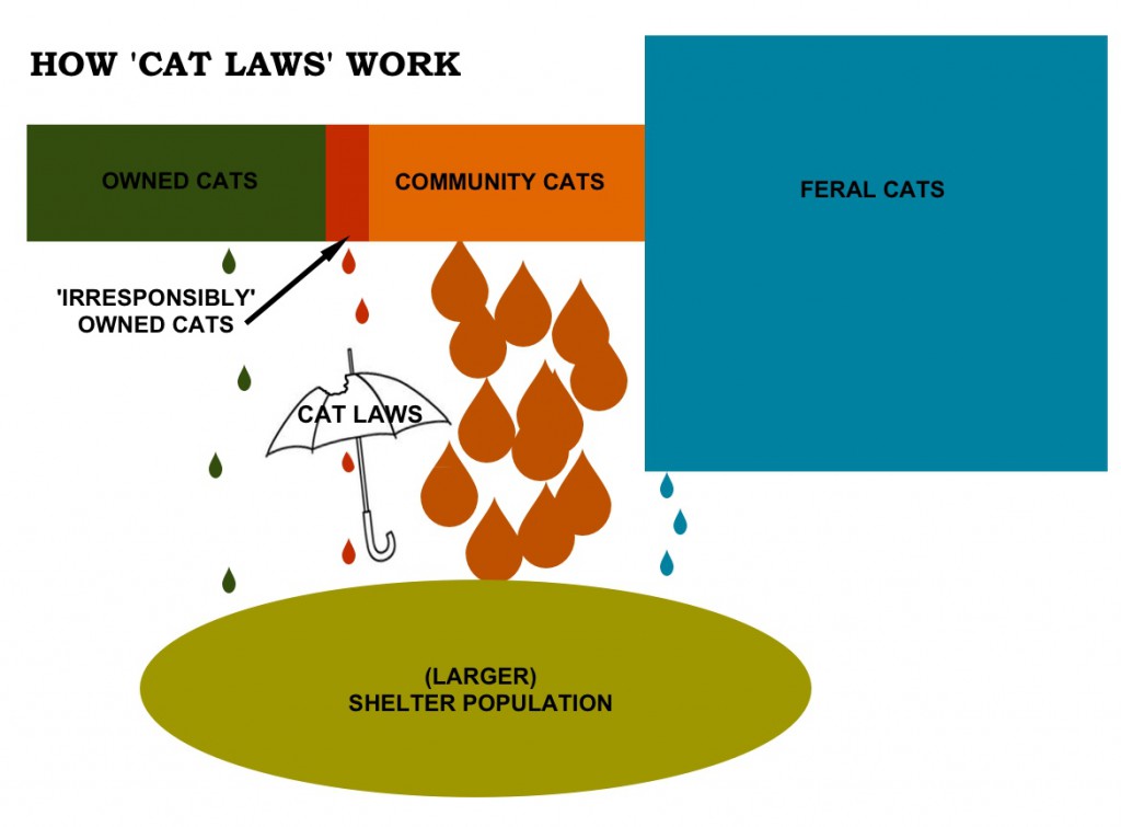 Cat_Diagram_2014_cat_laws