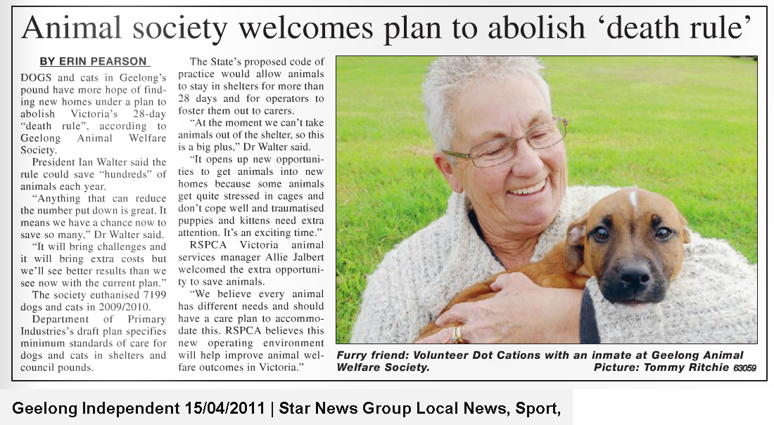 Geelong Animal Welfare Society – five months on