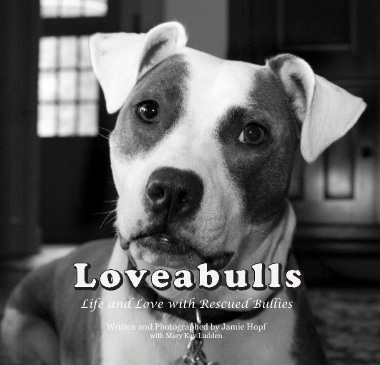 Loveabulls