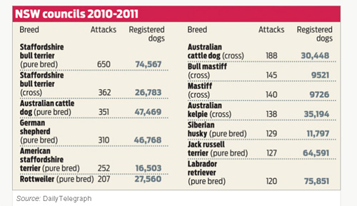 NSW_Dog_Attacks_2010-11