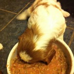 Pups_eating_4