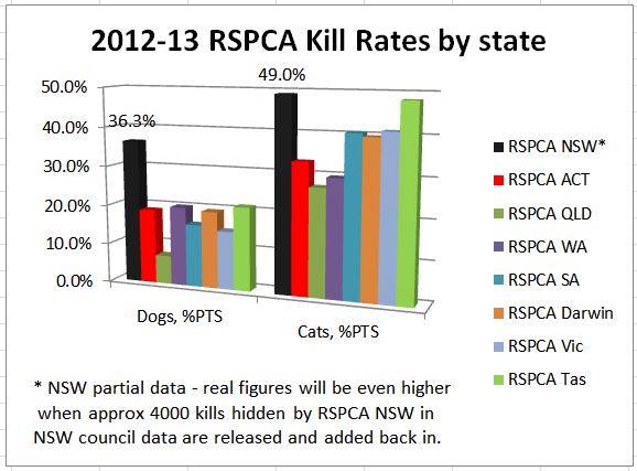 RSPCA_12_13