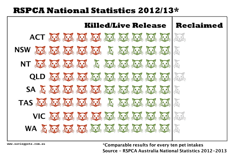 RSPCA_Stats_Visual_2014_cats