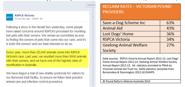 RSPCA_Strays_2_2014