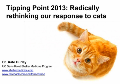 Tipping_Point_Radically_Rethinking_our_Repsonse_to_Cats